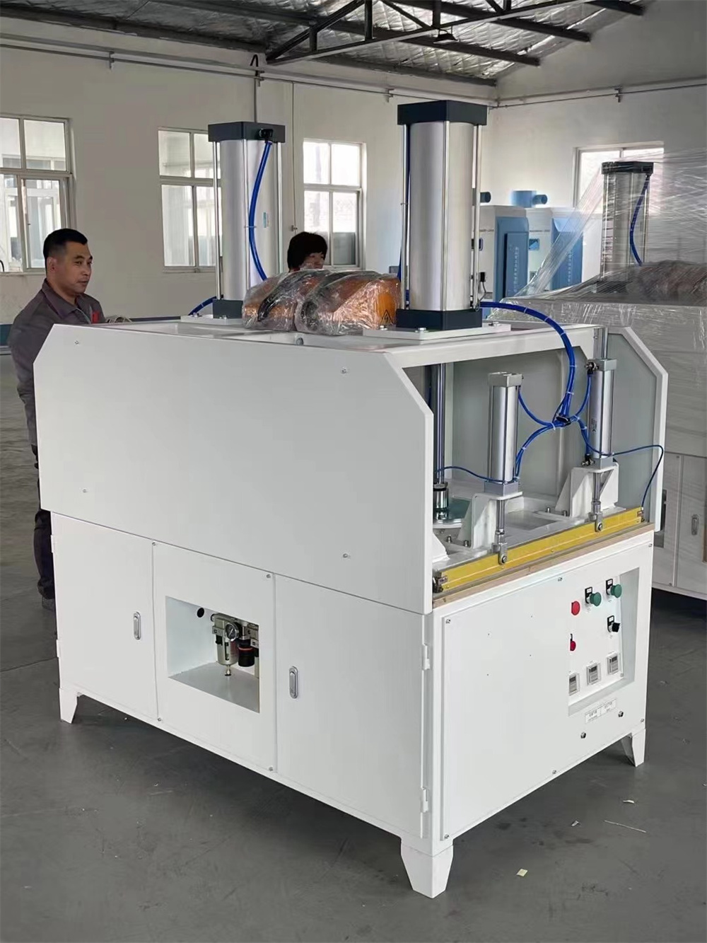 Vacuum Packing Machine_006