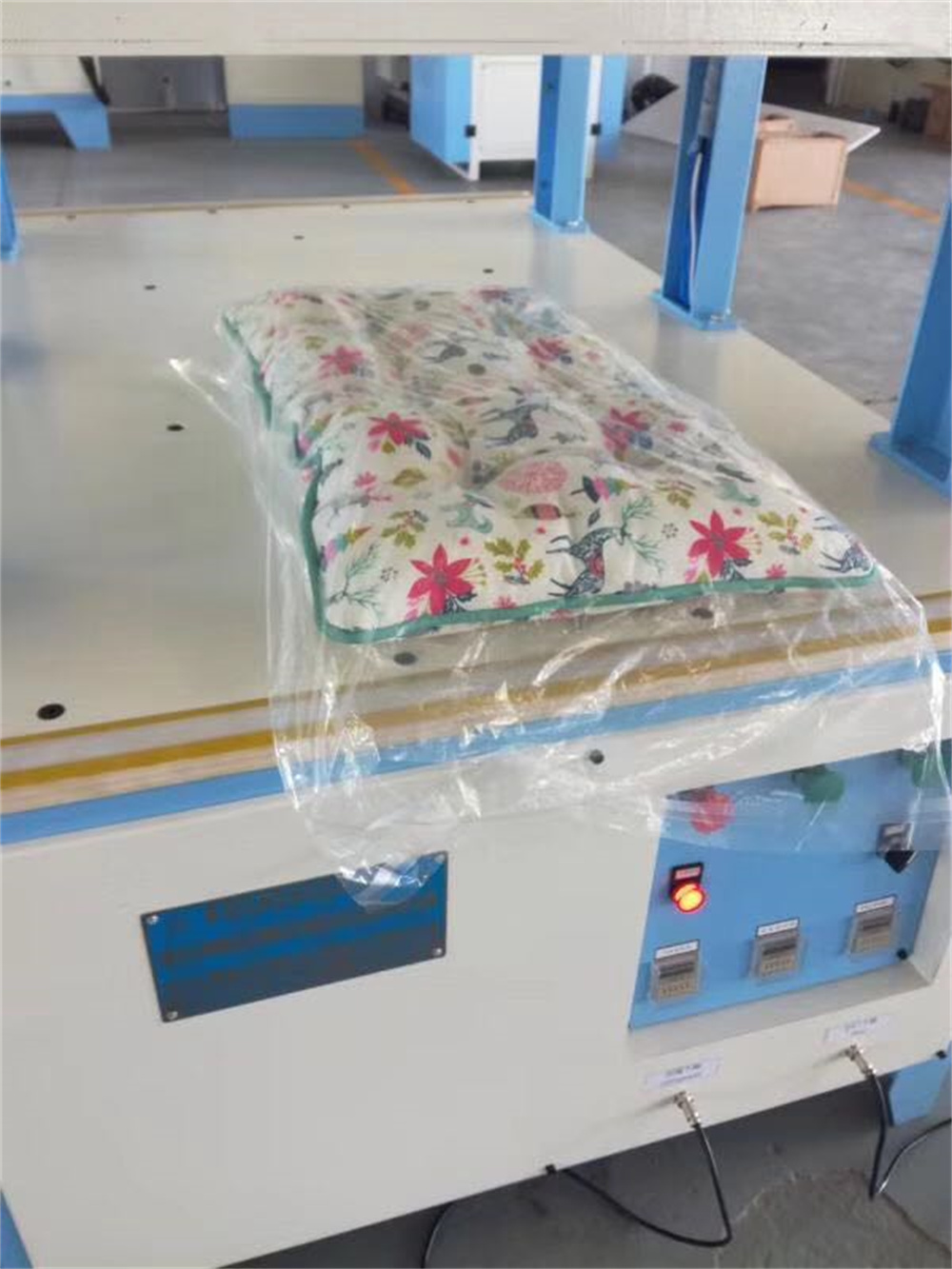 Vacuum Packing Machine_009